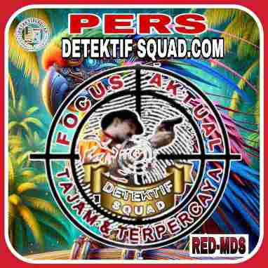 DETEKTIFSQUAD.COM